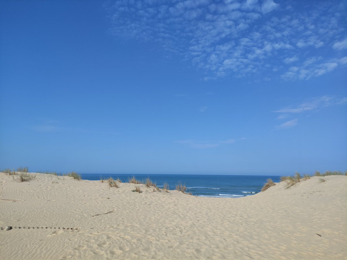 KAO_svmd's tweet photo. Nettoyage de plage fait ! Une belle récolte (et c'est triste) pour la Grande Côte 🙋🏼‍♀️🤗 merci beaucoup la commu pour ce geste, c'est pas énorme, mais c'est un très beau geste. 👊🌞 https://t.co/Xrjp0vVtru
