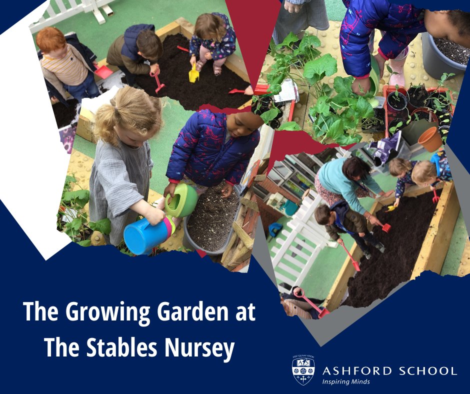ashford-school-on-twitter-this-week-at-the-stables-nursery-the