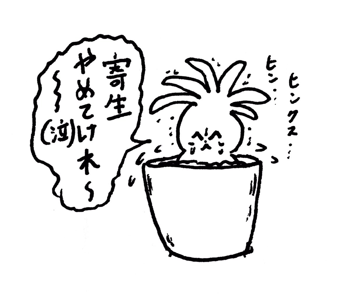 草太夫(くさだゆう) 