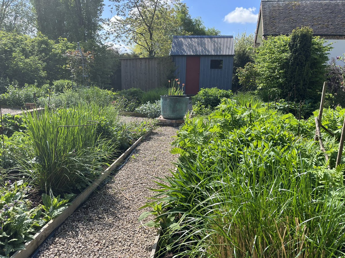 Grief is an ever surprising companion. Today’s revelatory piercing is that I miss him most on the sunny, breezy days with everything in the beautiful garden he created showing the promise of a summer he won’t be here for #Grief