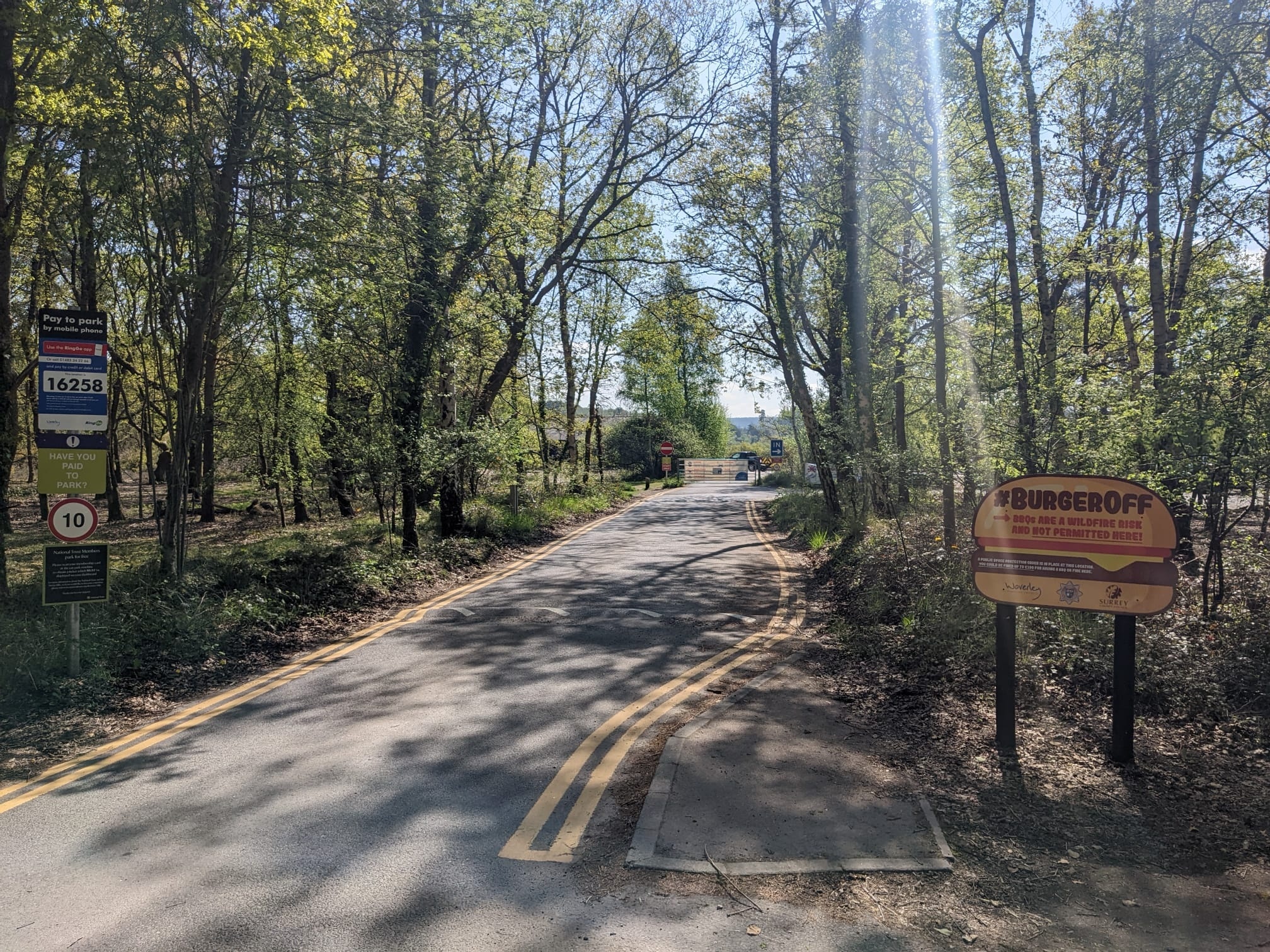 FSJaorEXsAEj43O.jpg:large