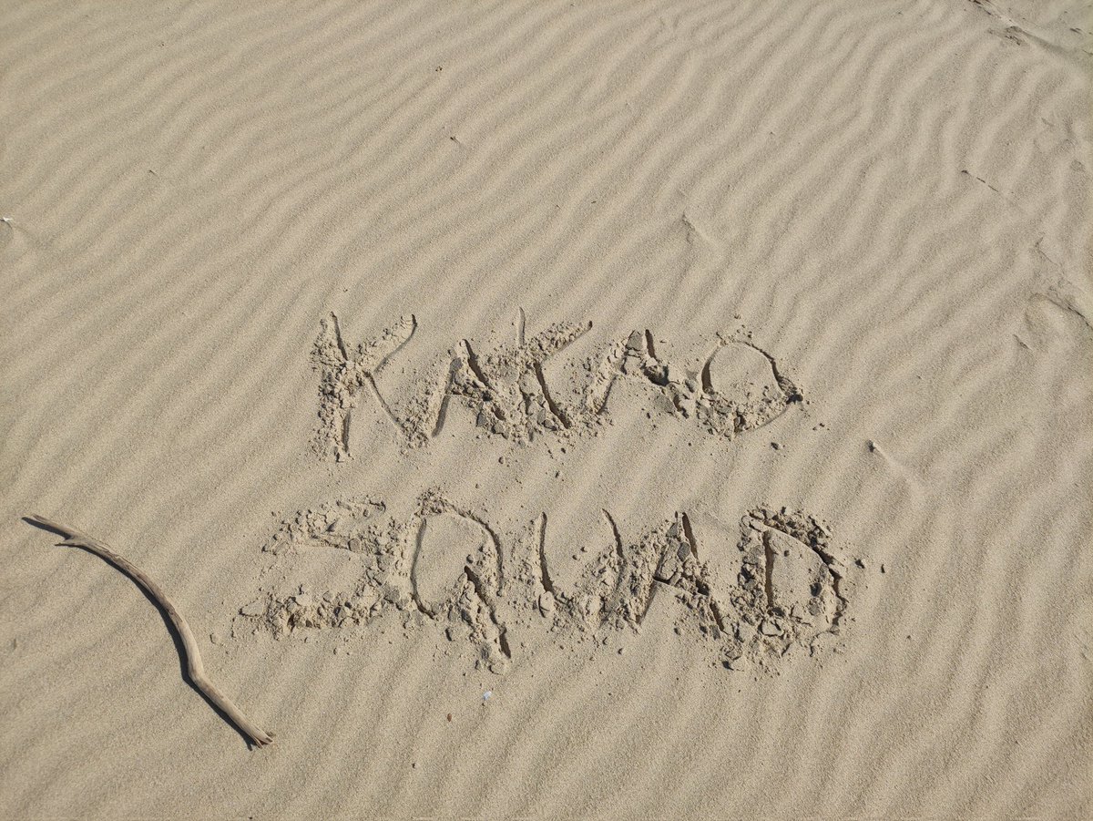 KAO_svmd's tweet photo. Nettoyage de plage fait ! Une belle récolte (et c'est triste) pour la Grande Côte 🙋🏼‍♀️🤗 merci beaucoup la commu pour ce geste, c'est pas énorme, mais c'est un très beau geste. 👊🌞 https://t.co/Xrjp0vVtru