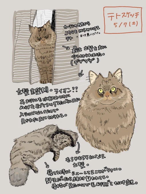 テトスケッチ✏️ 