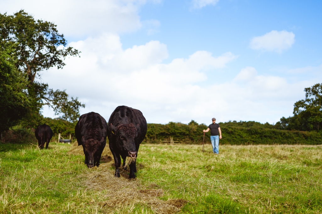 There is still time to get tickets for our first Wagyu Walking Tour of 2022 taking place next week.

Join us on Saturday 14th May for a backstage tour of the estate.

Tickets are £20 and can be purchased through the link in our bio. 

Credit: @jamesrousephoto