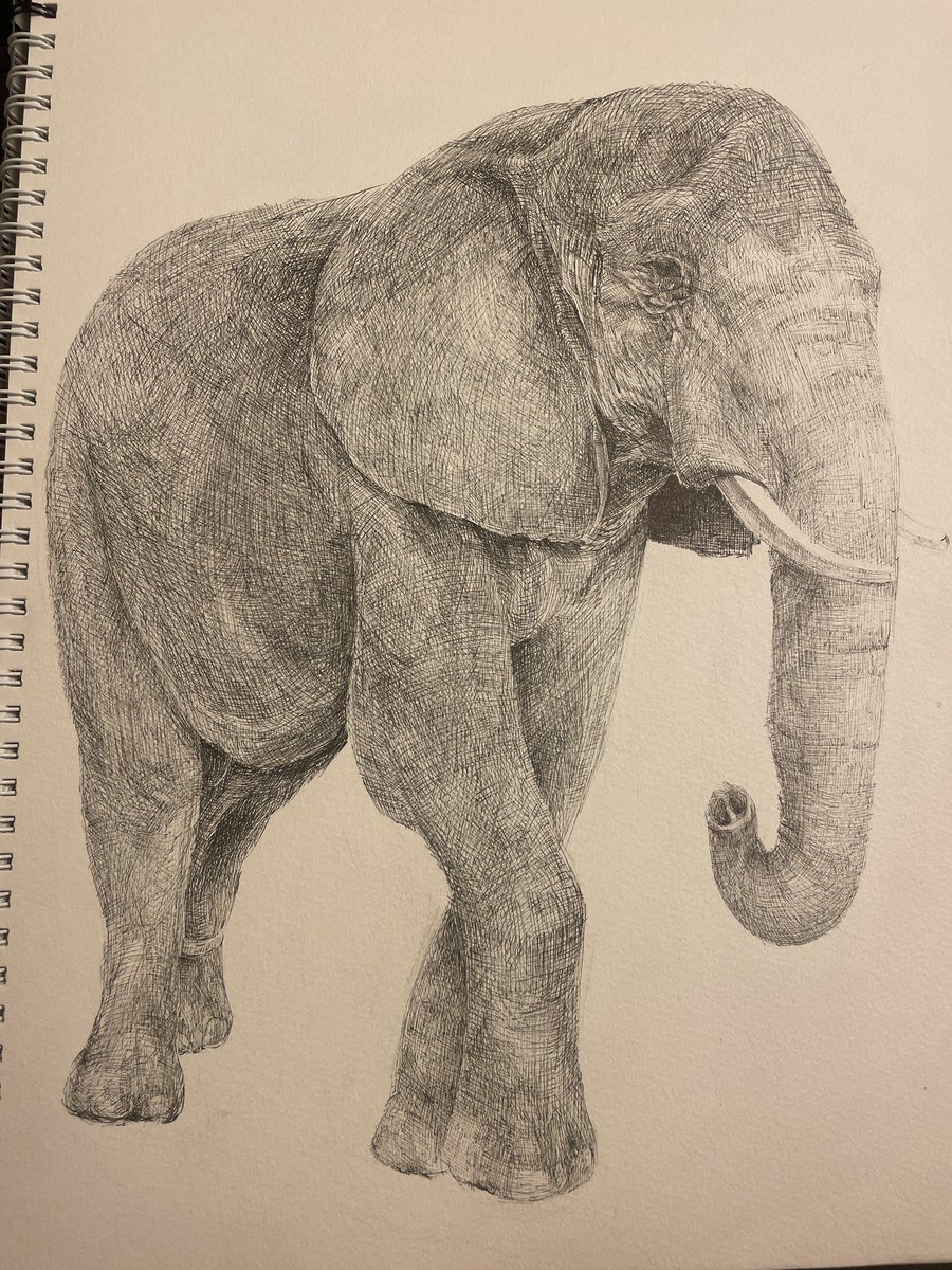 🐘 🐘 🐘 🐘 🐘 🐘 ≡ 3  #絵描きさんとつながりたい #ボールペン画  #art #drawing  #staedtler