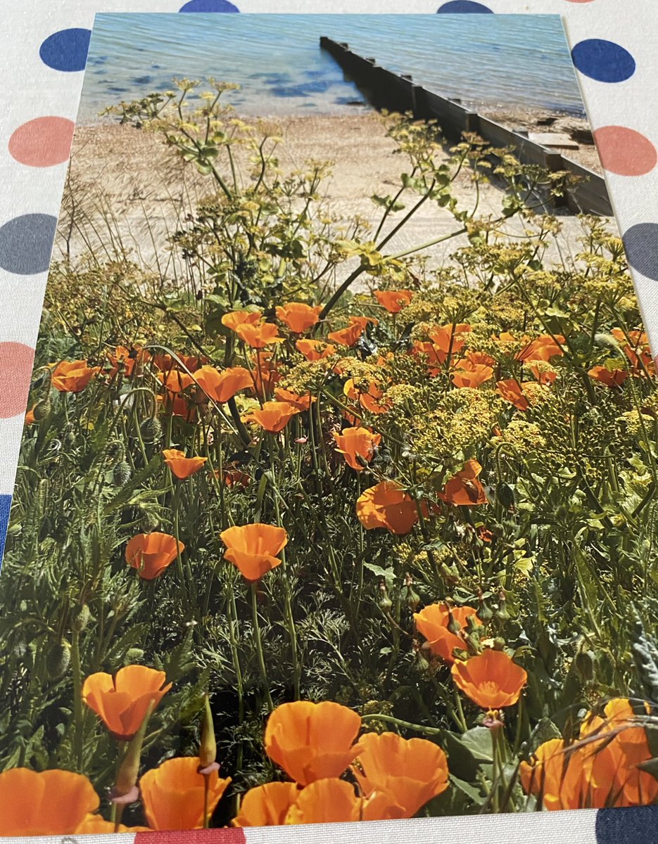 iSpyphotographs's tweet photo. Good #SaturdayMorning #shopindie #iSpies and #UKGiftHour #UKGiftAM  

This print off to Brazil as a gift! 👏📸

#giftideas #supportsmallbusiness 🤗 #giftfinder #MHHSBD #SmartSocial https://t.co/sVPTeGGuzH