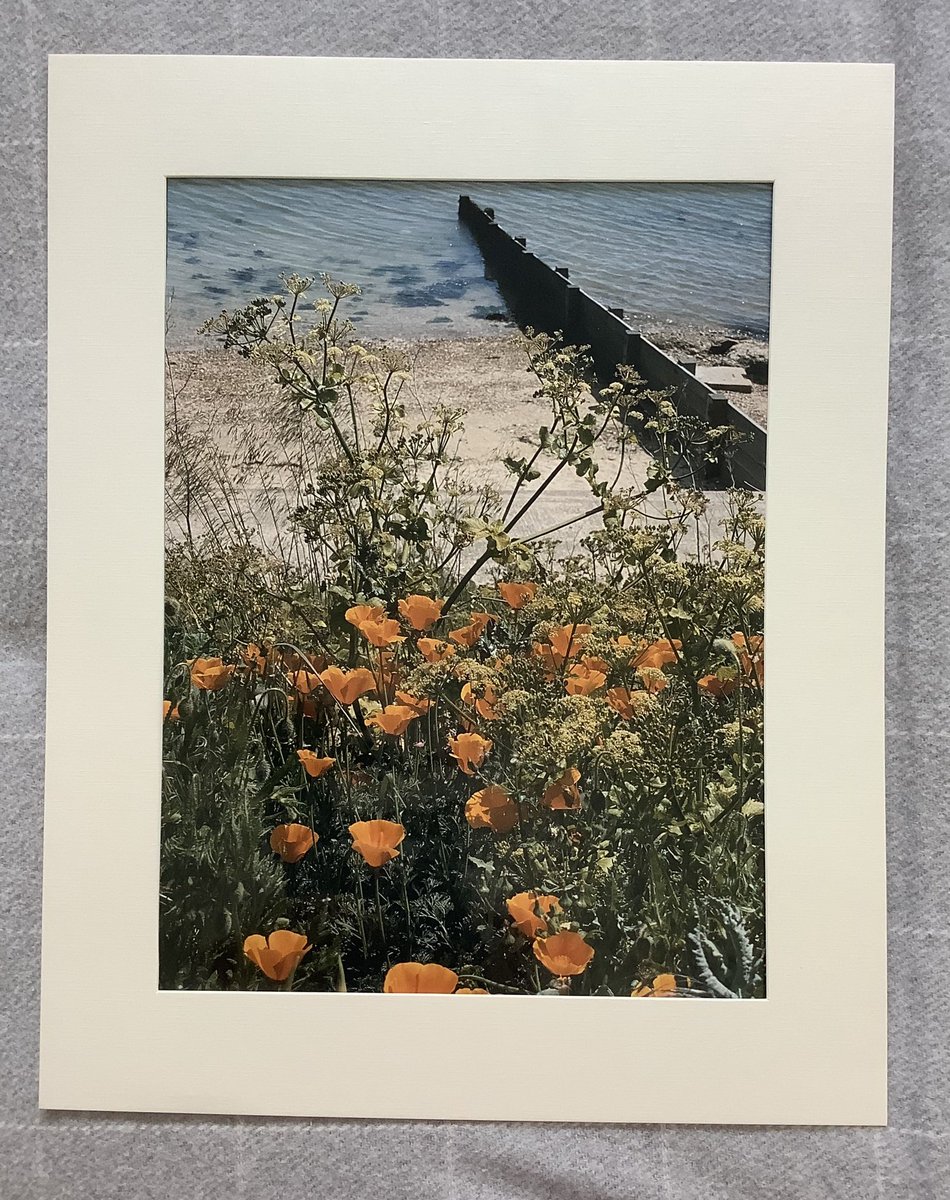 iSpyphotographs's tweet photo. Good #SaturdayMorning #shopindie #iSpies and #UKGiftHour #UKGiftAM  

This print off to Brazil as a gift! 👏📸

#giftideas #supportsmallbusiness 🤗 #giftfinder #MHHSBD #SmartSocial https://t.co/sVPTeGGuzH
