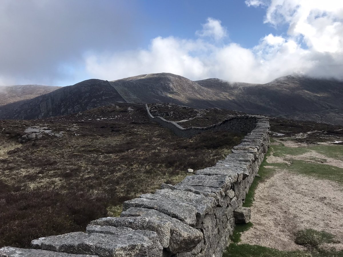 Elizabeth Enfield tweet media