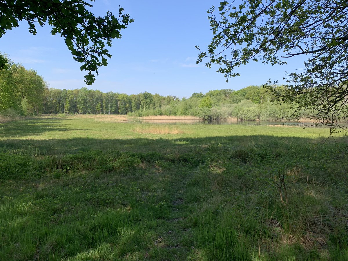 VisitWeert tweet picture