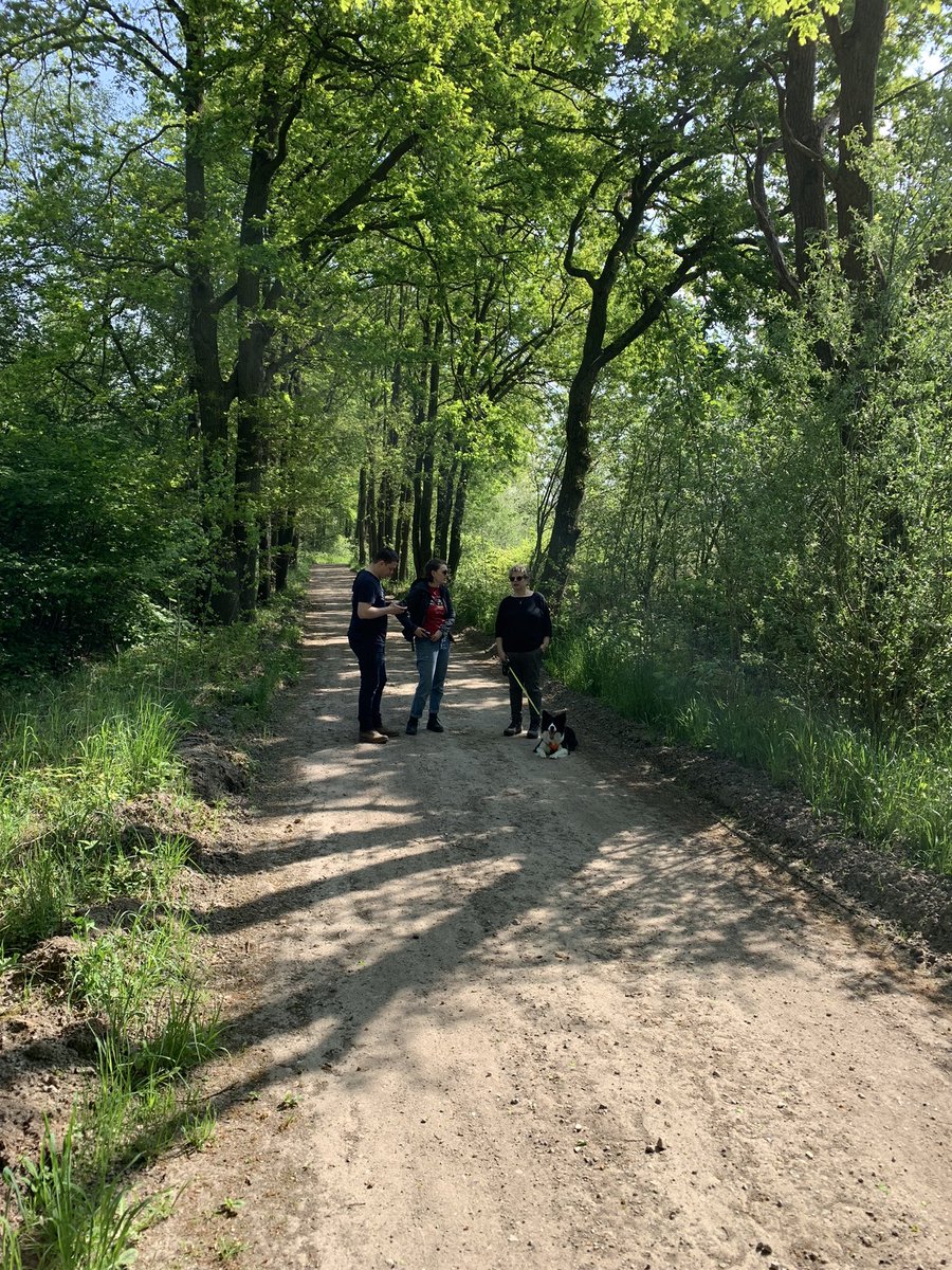 VisitWeert tweet picture