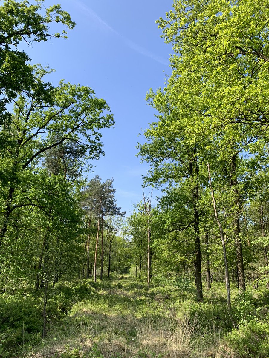 VisitWeert tweet picture