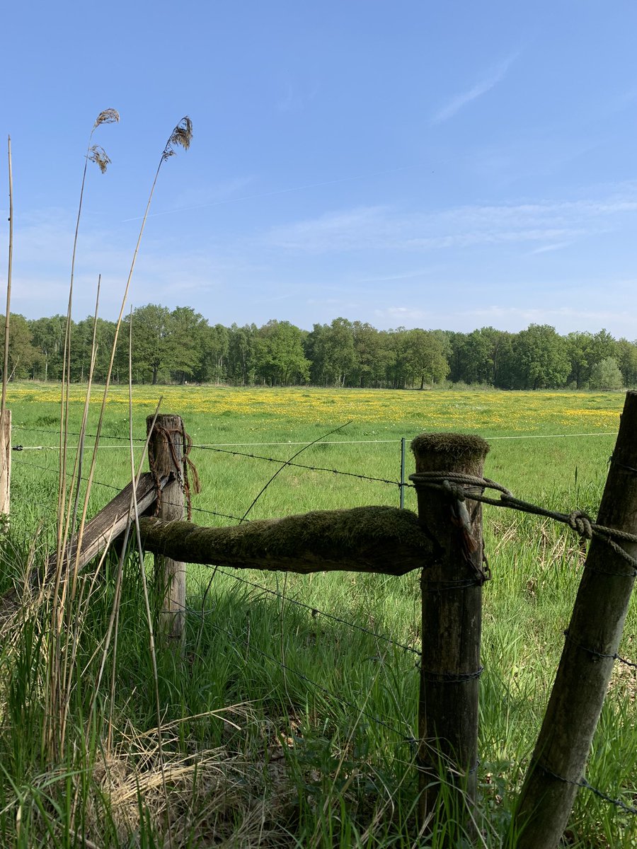 VisitWeert tweet picture
