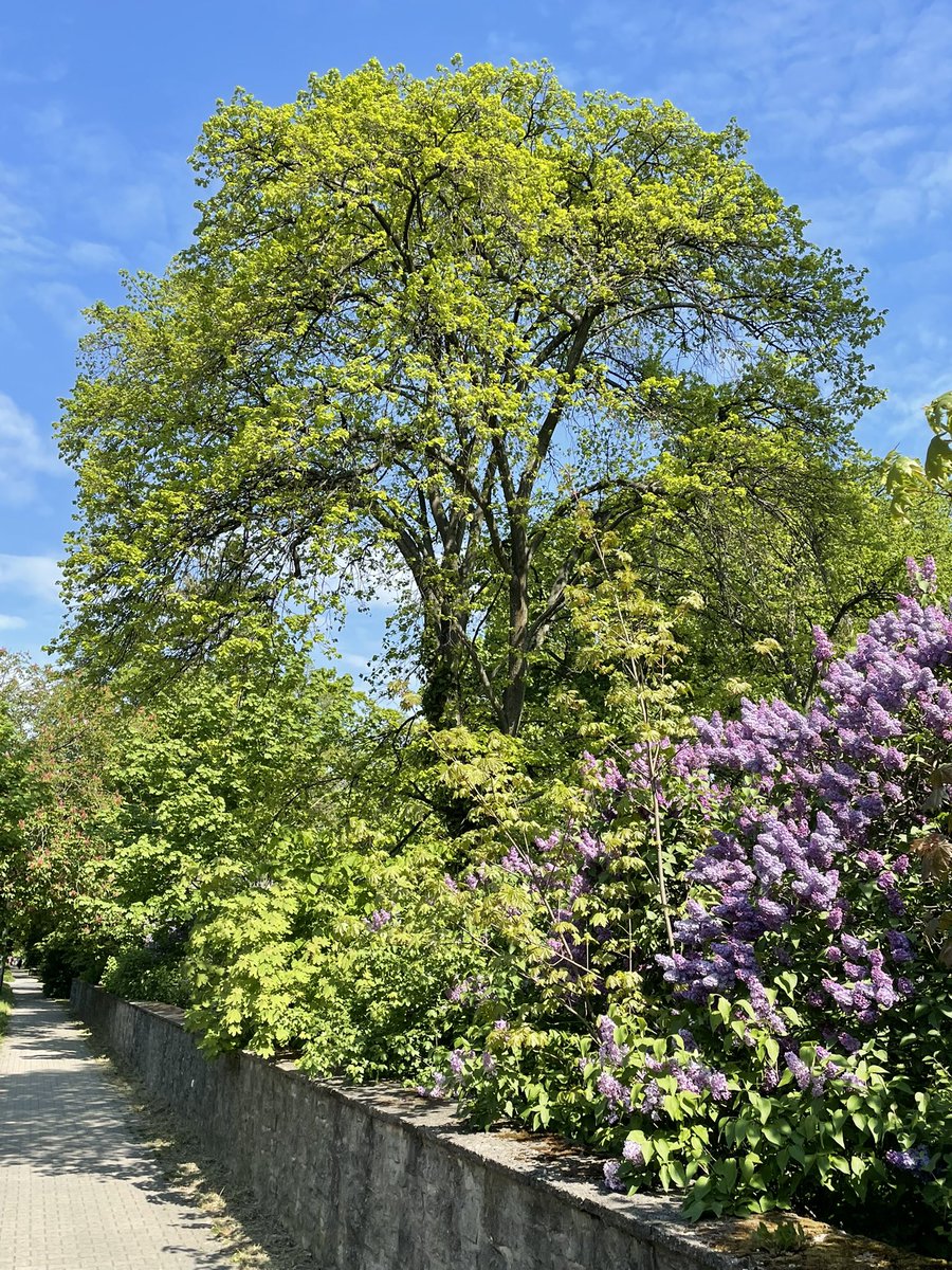Frühling angekommen! 👏