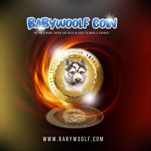 BabyWoolf tweet media