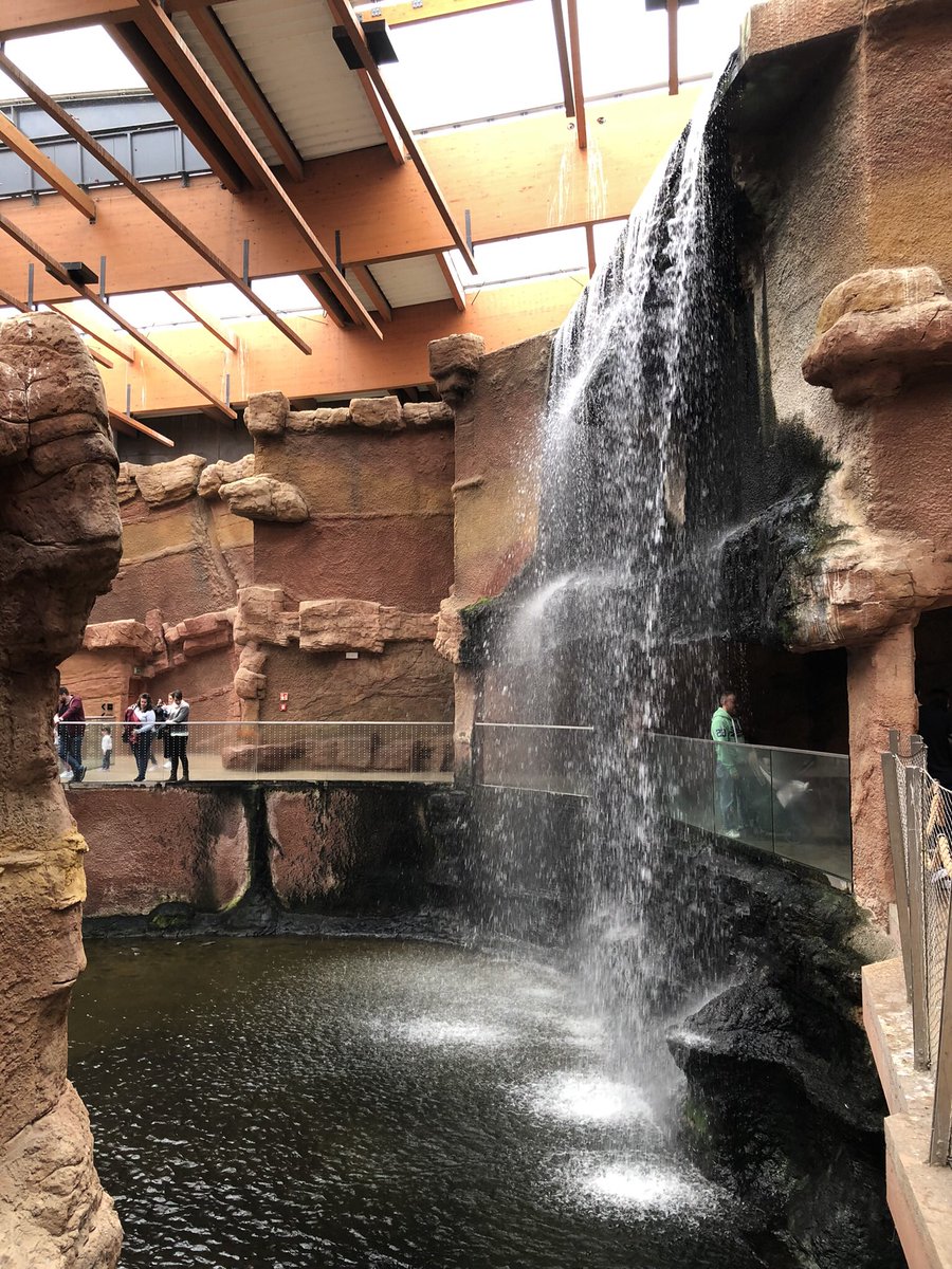 JaroslawMarciuk's tweet photo. Afrykarium Zoo Wroclaw @zoowroclaw 
@ThinkMice @micebenelux @MPI #mariskajourney #wroclawthemiceplace @conventionwro @MariskaKesteloo #eventprofs #visitwro https://t.co/kd5naP67bM