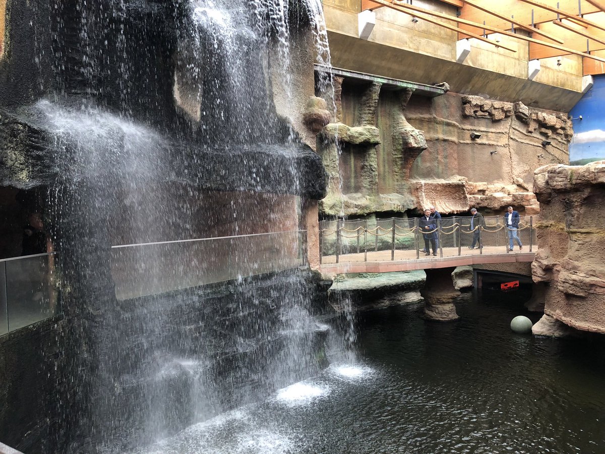 JaroslawMarciuk's tweet photo. Afrykarium Zoo Wroclaw @zoowroclaw 
@ThinkMice @micebenelux @MPI #mariskajourney #wroclawthemiceplace @conventionwro @MariskaKesteloo #eventprofs #visitwro https://t.co/kd5naP67bM