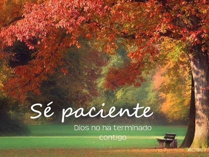 María José Martín ن 🖤 tweet media