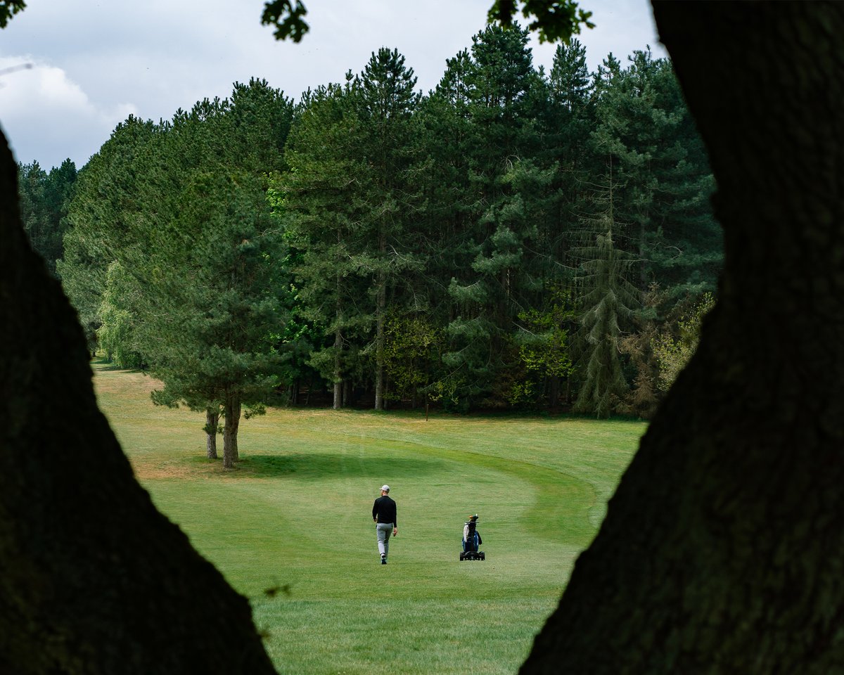 StewartGolf's tweet photo. Experience the course with unrivalled freedom, thanks to our industry-leading Follow technology. 

There's no better way to walk the course 🌳

#LeaderInFollow https://t.co/TTtiHmh8io