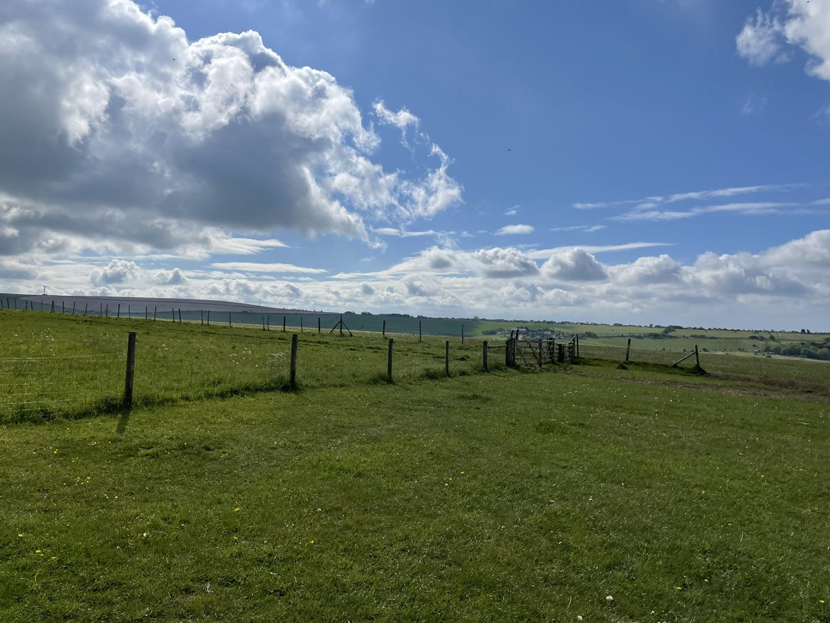 Sarah Thomas tweet media