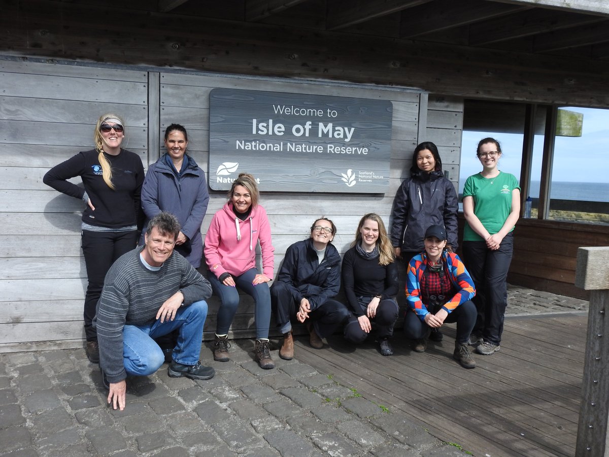 SteelySeabirder's tweet photo. Conservation in action as we had a team out on the Isle of May helping us sort the specialist tern nesting areas ready for their 're-tern'. The blog has the story: https://t.co/VnWtRiQI6m https://t.co/PZGWIvUeZE