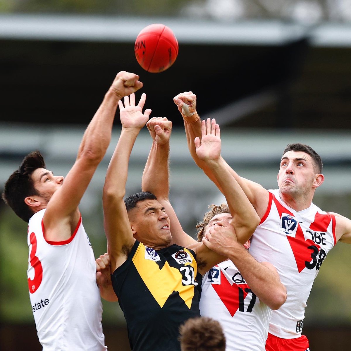 Sydney Swans tweet media