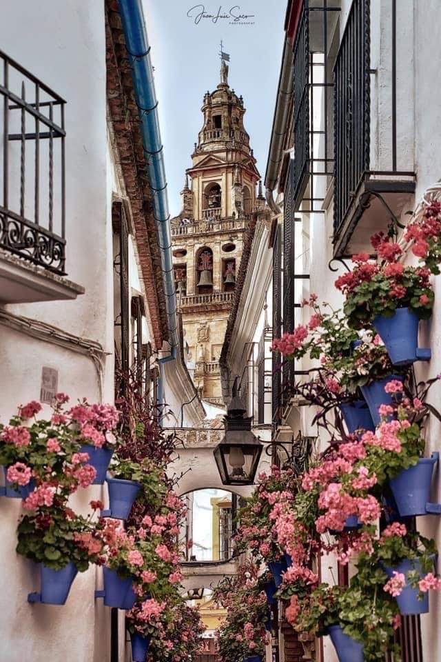 Cordoba_spain's tweet photo. ❤️ No traten de entenderlo...

#CórdobaEsp https://t.co/wHjlKQBo6m