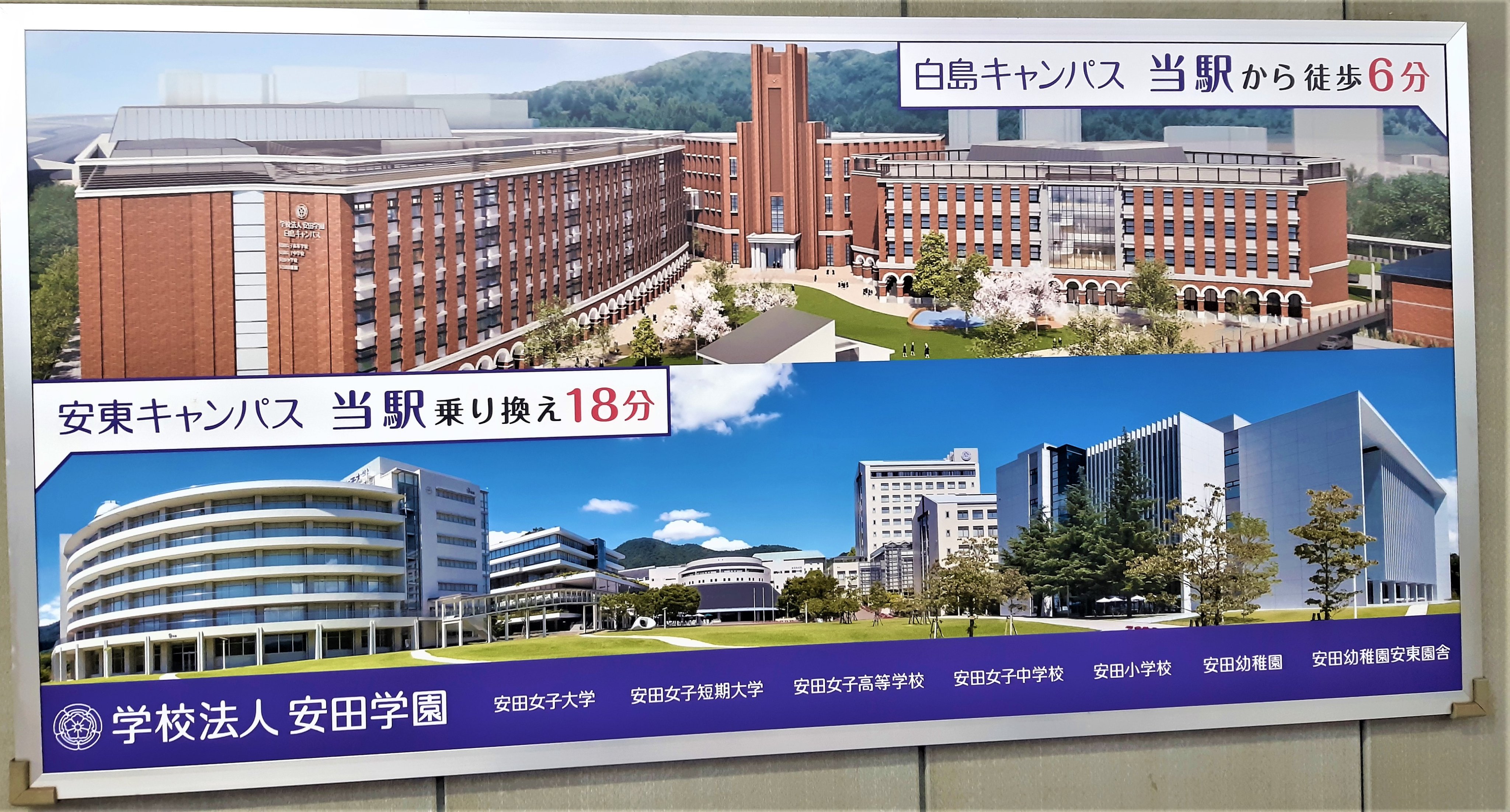 公式サイト店舗 わんわん 様専用 安田女子大学 安田女子短期大学 19年版 21年版 703f3d01 売れ筋新商品 Feb Ulb Ac Id