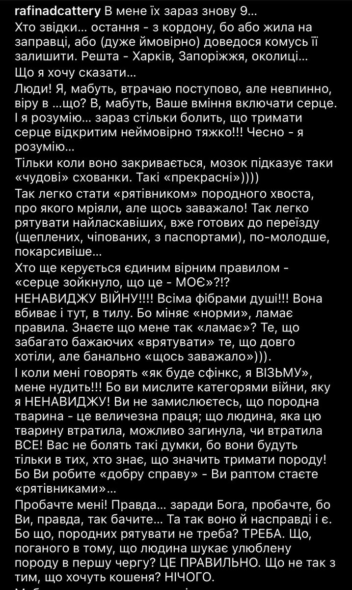 бинбича tweet media