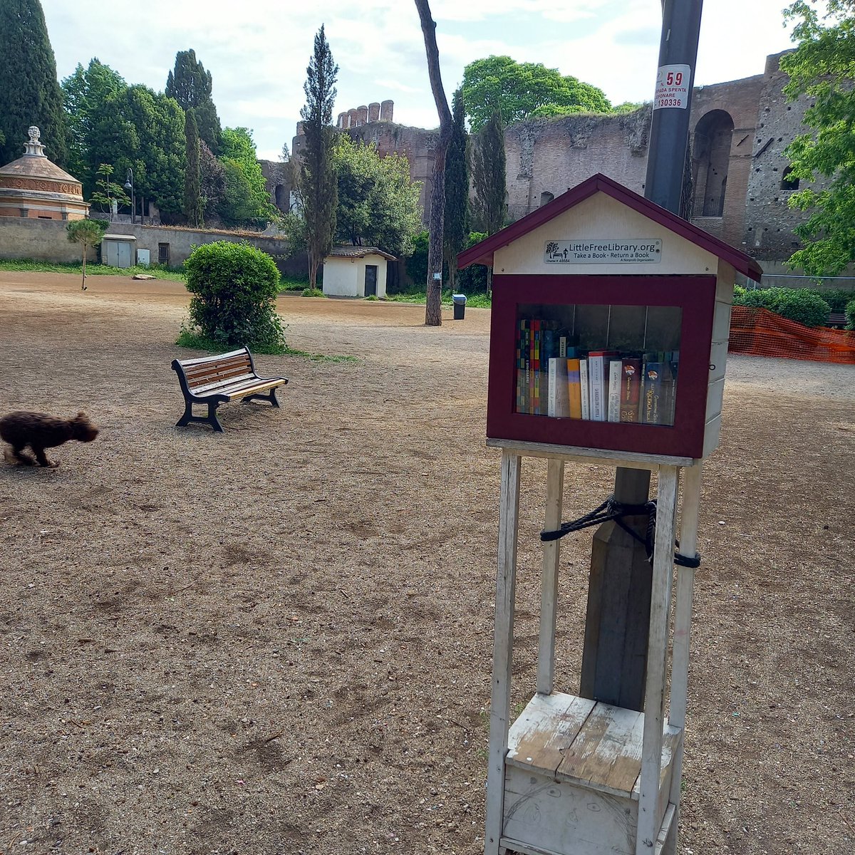 citypat1's tweet photo. Stamattina abbiamo rifornito la piccola biblioteca del Parco degli Scipioni
Libri #benecomune 
@gioalbarosa finalmente sono riuscita a realizzare il progetto a cui tengo grazie al meraviglioso impegno civico del Comitato Amici del Parco degli Scipioni https://t.co/RfqDGf7Kzf