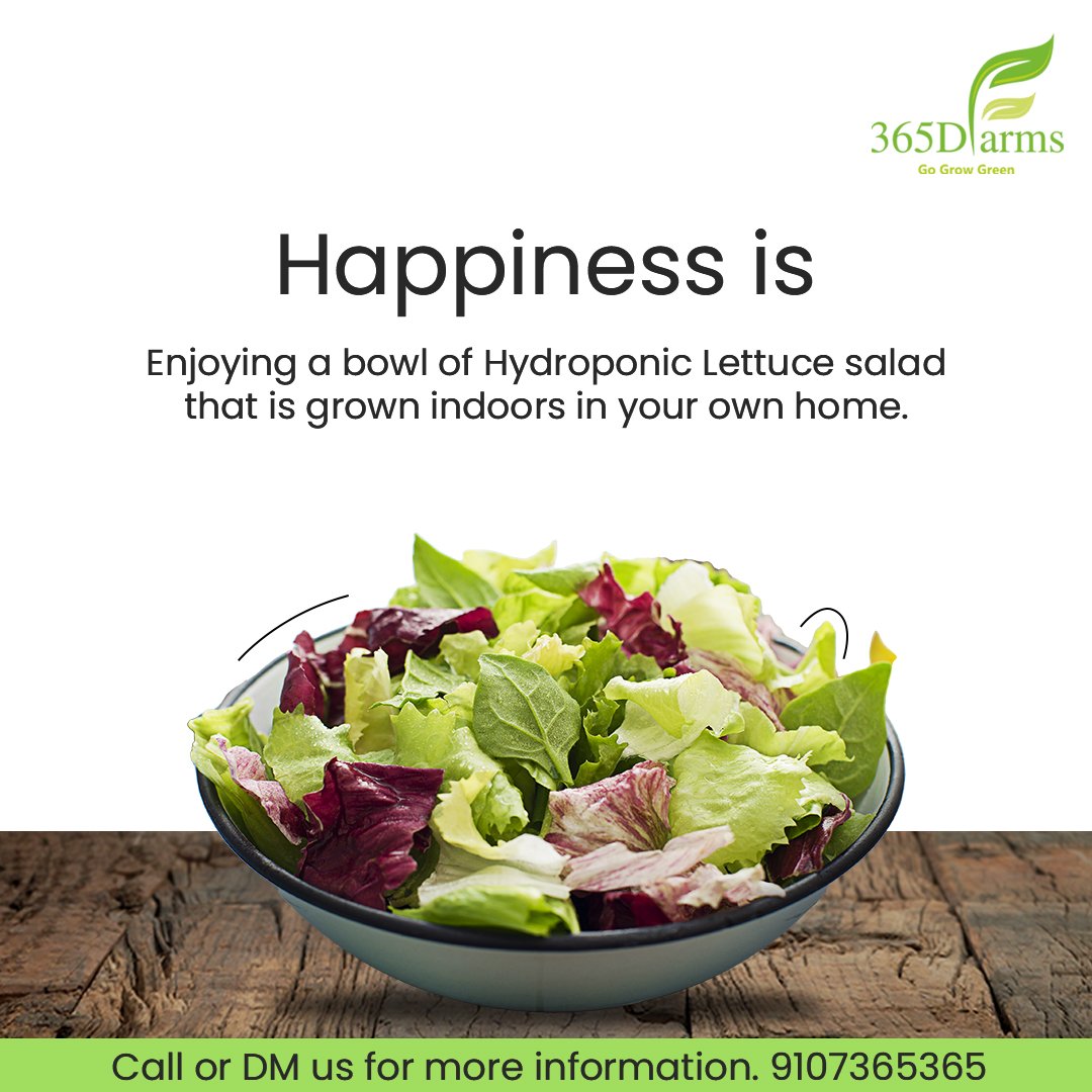 365Dfarms's tweet photo. It's hard to beat the satisfaction of producing and picking your own greens from your indoor farm &amp; treating yourself to a beautiful bowl of nutritious &amp; fresh salad.
Learn about Indoor #Hydroponics &amp; set up your own farm with 365D Farms. Register Now: https://t.co/vMmCk7N22r https://t.co/Vgs458cKgH