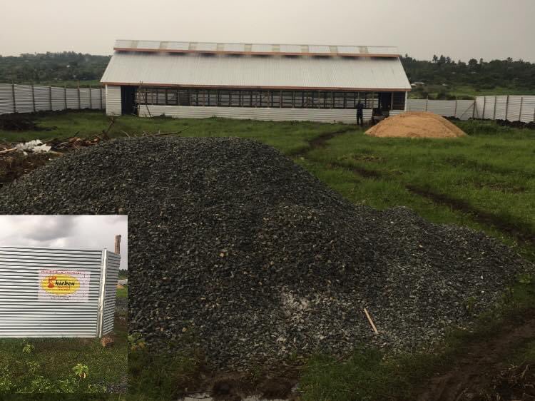 Another layers project coming up in Rarieda Subcounty, Siaya County. 

Our chicken coups are done to perfection and can serve a client for a decade!
Contact us today on 0748993561