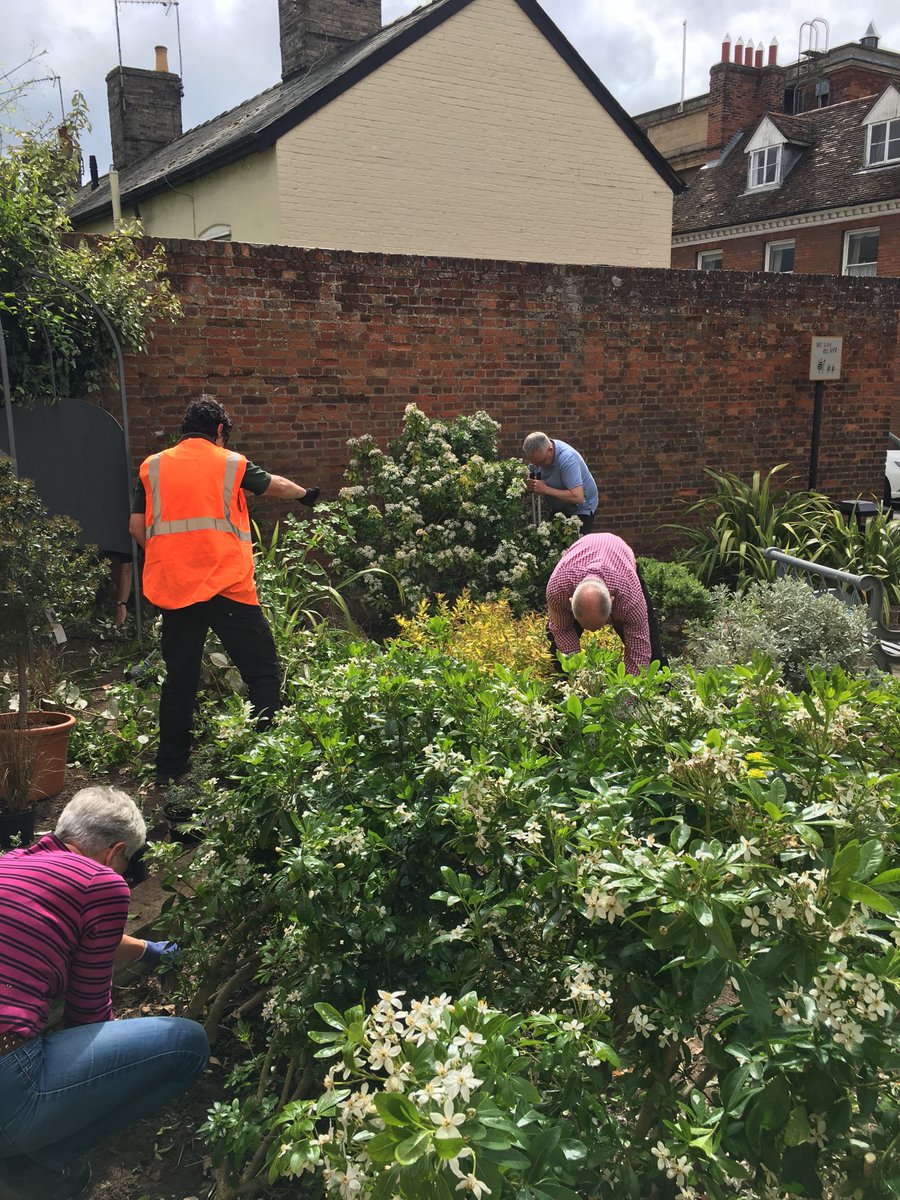 The ⁦<a href="/abbey1080/">Bury Abbey Rotary</a>⁩ #gardening #rotary team were busy this morning helping out on another community project in #burystedmunds