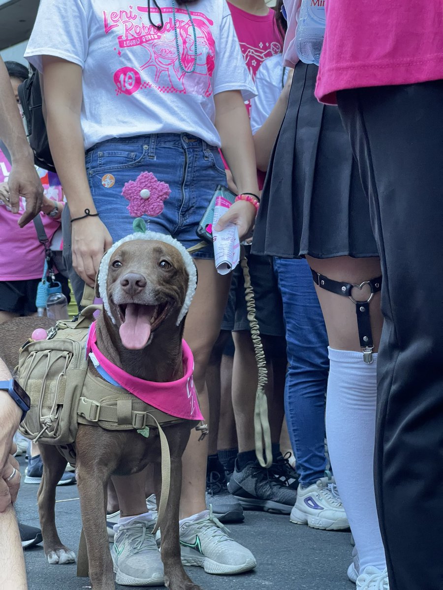 cheryllselda's tweet photo. #MakatiIsPink woof woof! https://t.co/82bhAhAUFB