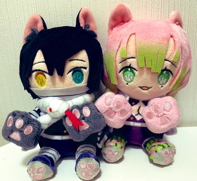 にゃふぉるめ届いた〜思ってたより小さき命😭かわいい🐱 
