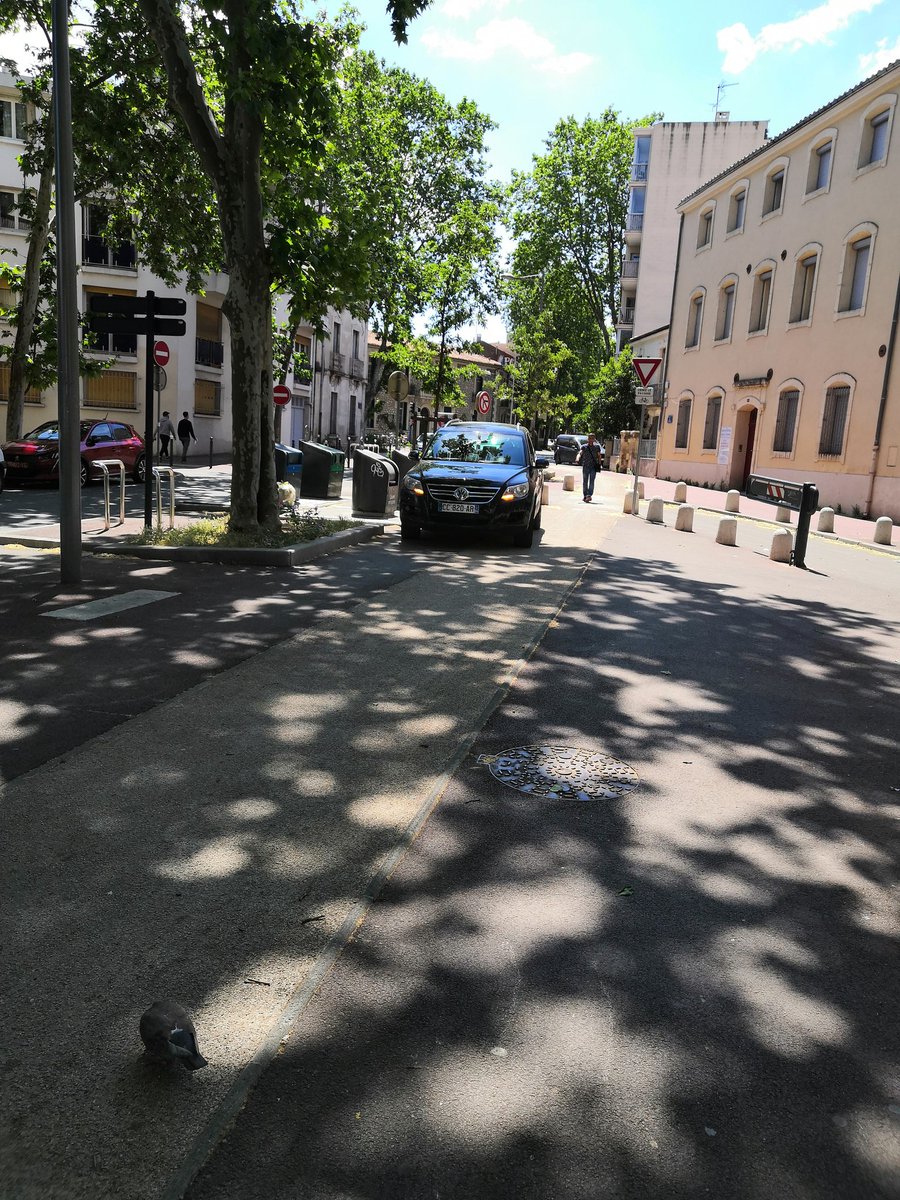 oNouguier's tweet image. #WTF2022 #GCUM @PMMontpellier 🙏