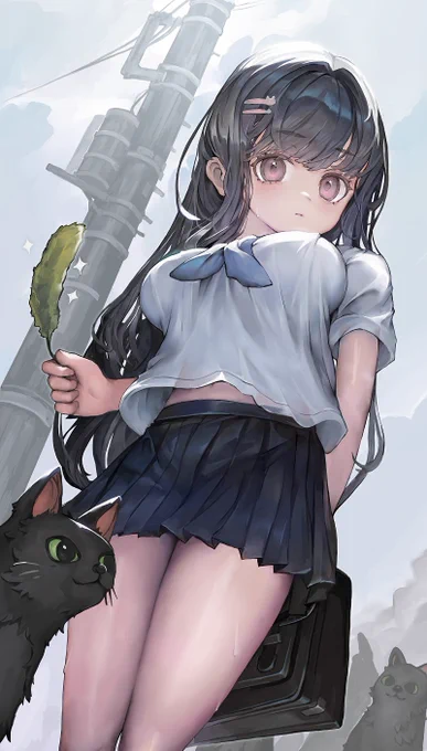 😾 
