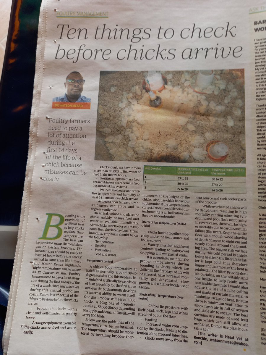 Take care of your chicks during this cold spell