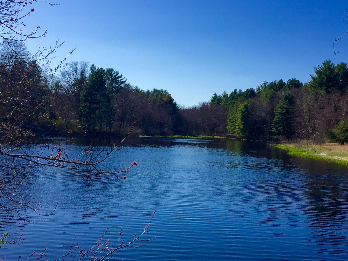 MerrimackValley's tweet photo. Good morning from  #DunstableMA
https://t.co/o7A15kthkT

#VisitMA #MyLocalMA #MerrimackValley https://t.co/gcw4TGm0Y7