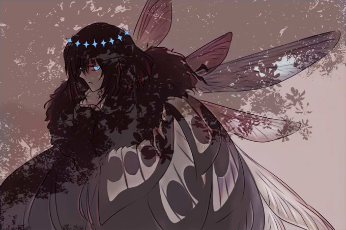 🦋 