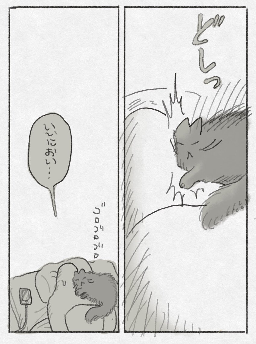 この猫を離さない  僕の魂ごと離してしまう気がするから 