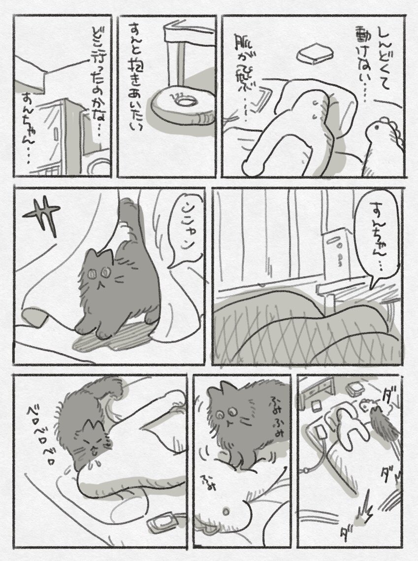 この猫を離さない  僕の魂ごと離してしまう気がするから 