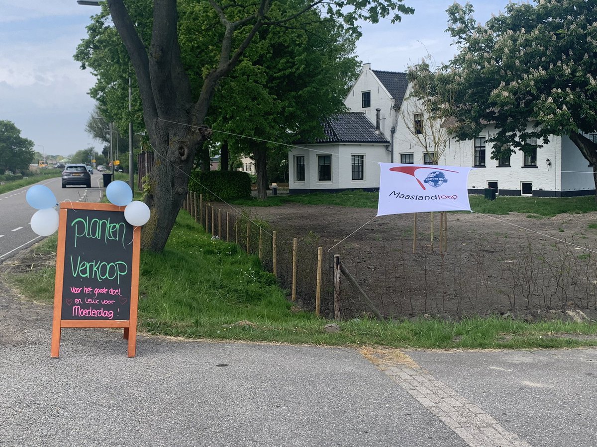 Thofrunning's tweet photo. Steun de Maaslandloop! Koop mooie planten en groente voor het goede doel!! Te halen bij BM Roses Oostgaag 9 https://t.co/yKh60FMobC