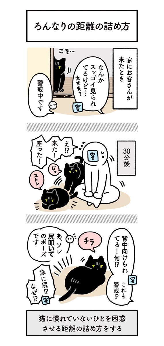 うちのねこが超速で初対面のひとに懐く絵日記 びっくりするほどチョロい黒猫ろんさんなのだった #ろんの絵日記 