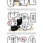懐くまでがあっという間すぎて思わずくすりとしちゃう!初対面の人にすぐ懐いちゃう猫のお話!
