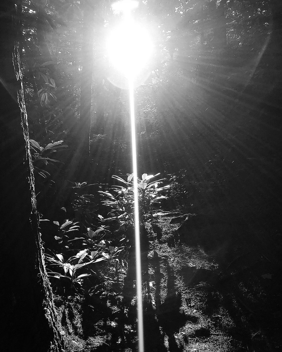 They_Adventure's tweet photo. 📍Red River Gorge, KY
#rrg #kentucky #hiking #redrivergorge https://t.co/WW9NbGS3v0