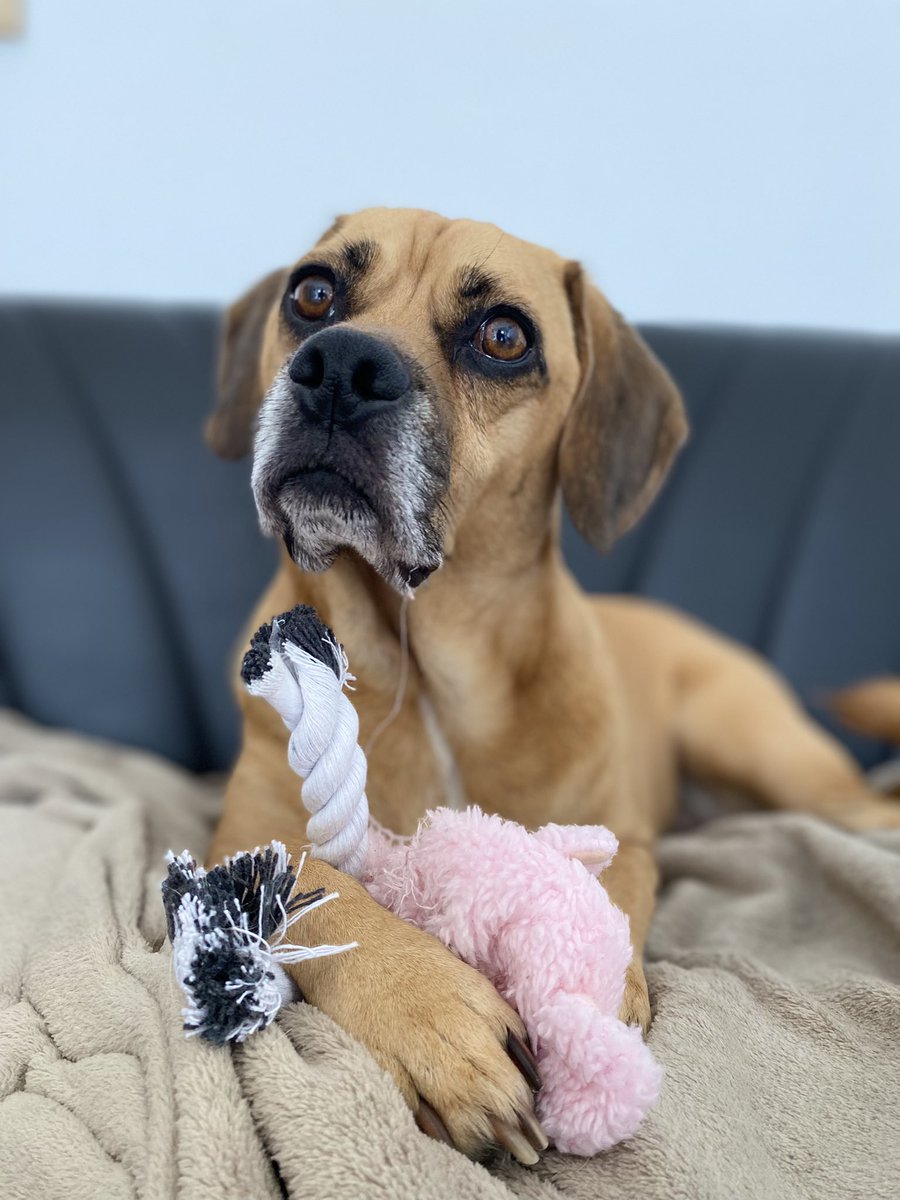 crystalscuor's tweet photo. i’m so in love with this face 🥹

happy saturday! 

love, 
ruxin&amp;me https://t.co/rqD4bavwfD