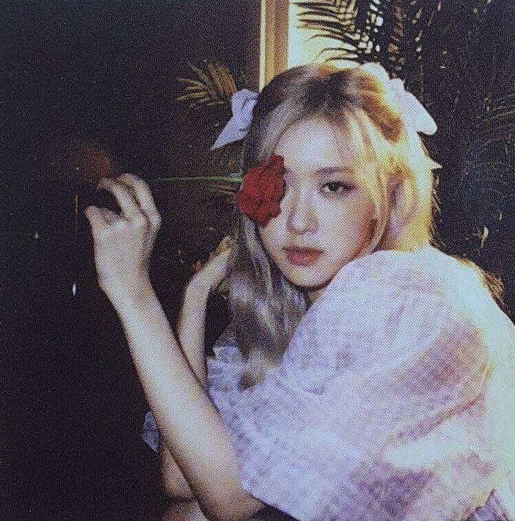url0ves's tweet photo. our rosie, i’m so thankful for your existence. knowing and stanning you as an idol and inspiration are such a bless for me. keep shining, u are doing very well in this decade. can’t wait for more masterpiéce from u in the future. love u to the moon &amp; back. 🌹❤️
#TenYearsWithROSÉ https://t.co/dHCGuQw6u3