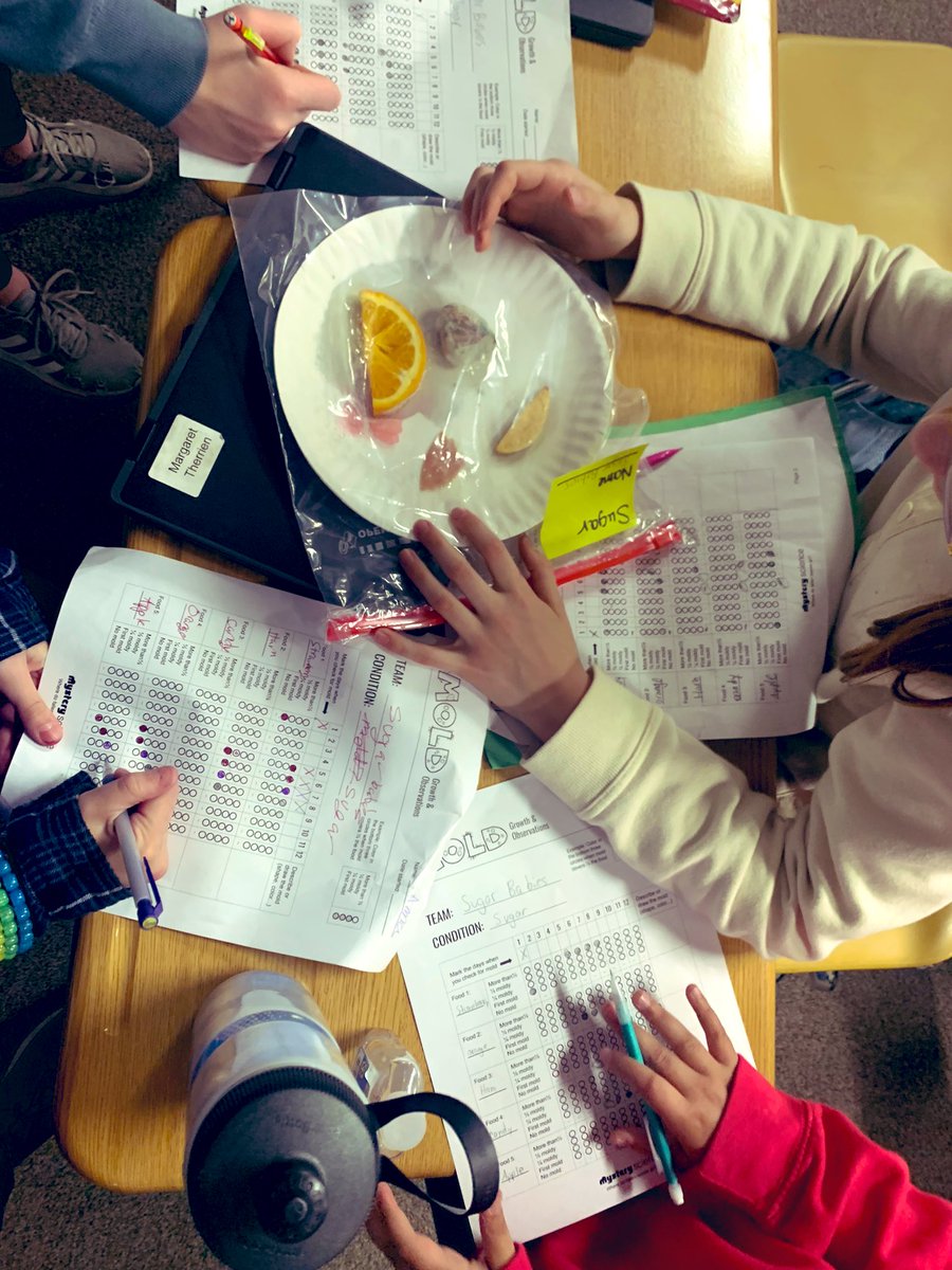 TechTrish's tweet photo. Mold Terrariums Done ✅ Through observation and evidence, Ss reasoned darkness ◼️and salt🧂 kept mold away. Sugar, warmth, and sunlight terrariums produced the most mold. #WeAreChelsea #157cgrows #mold #allforScience https://t.co/tzHDCLSiFK