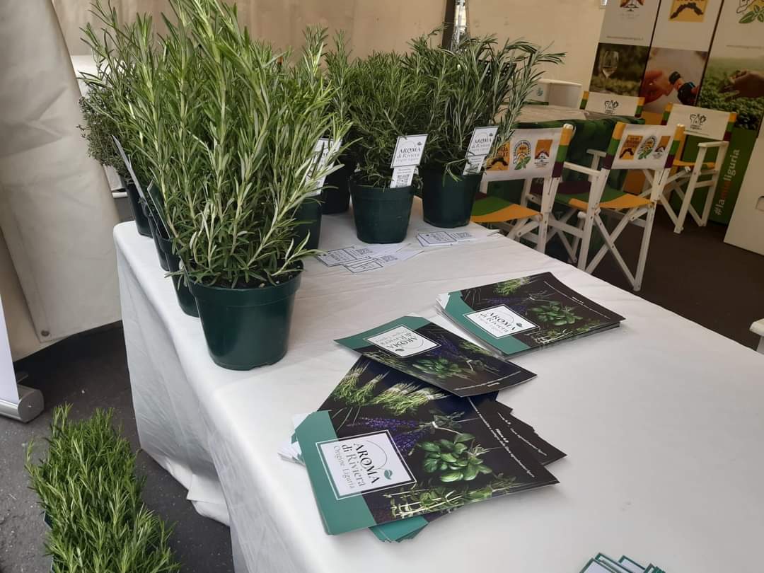 CCIAARIVLIG's tweet photo. 🌱🌾🌿 
🍃 @liguriadigitale @cersaa_news (az speciale #cciaarivlig) e @Ortofrutticola Albenga presenti ad @aromaticadiano nel bellissimo centro pedonale di Diano Marina per il Progetto 4.0 finanziato dal #PSR 2014-2020  @RegLiguria  
@aromadiriviera https://t.co/SbPlJSmjHw