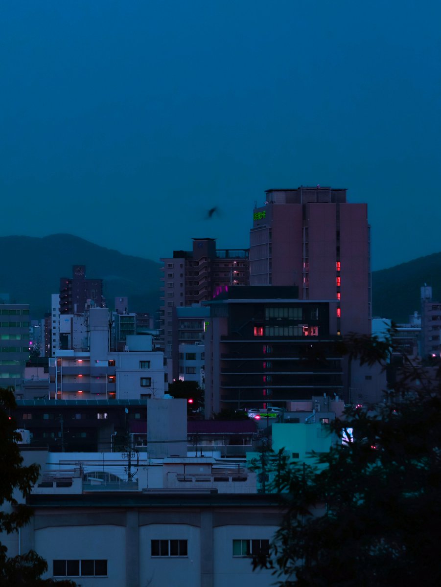 Night dream